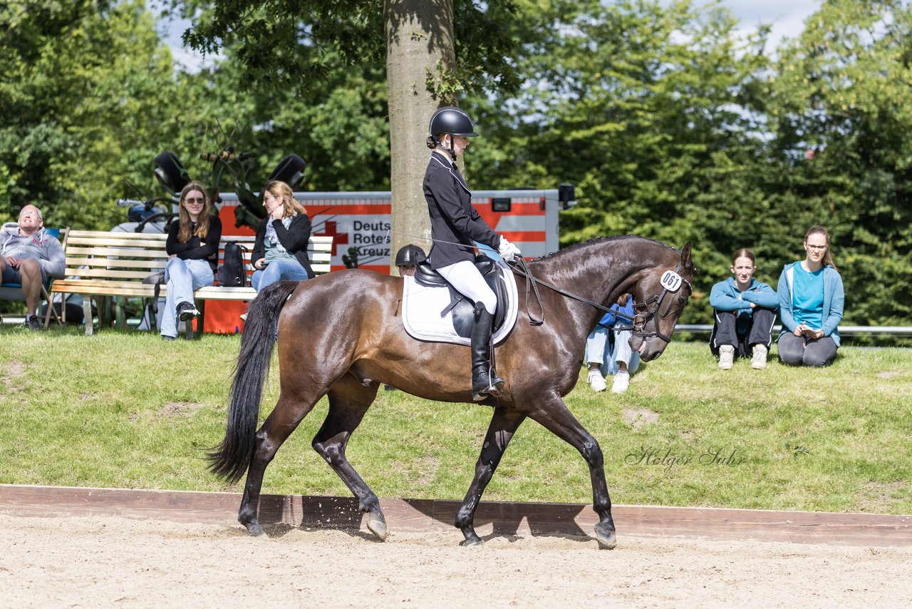Bild 646 - Pony Akademie Turnier